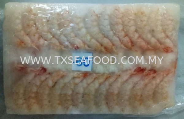 61/70 SEA PRAWN MEAT(Ϻ) FROZEN PRAWN Selangor, Klang, Malaysia, Kuala Lumpur (KL) Supplier, Suppliers, Supply, Supplies | TX SEAFOOD SDN. BHD.