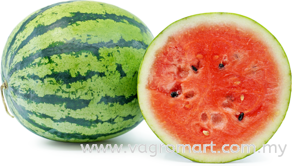 Watermelon Fruits Malaysia, Kuala Lumpur (KL), Selangor, Penang, Kedah, Sarawak Supplier, Suppliers, Supply, Supplies | FERLAB SDN BHD