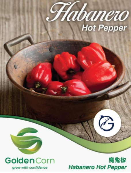 Habanero Hot Pepper Pepper Vegetables Selangor, Malaysia, Kuala Lumpur (KL), Batu Caves Supplier, Suppliers, Supply, Supplies | G DAILY SUPPLY SDN BHD