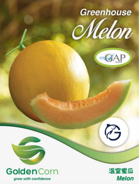 Greenhouse Melon Fruits Selangor, Malaysia, Kuala Lumpur (KL), Batu Caves Supplier, Suppliers, Supply, Supplies | G DAILY SUPPLY SDN BHD