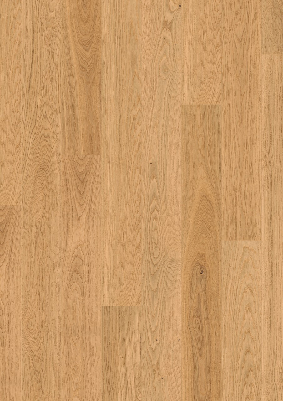 FAWN OAK, PLANK (W1708-03998)