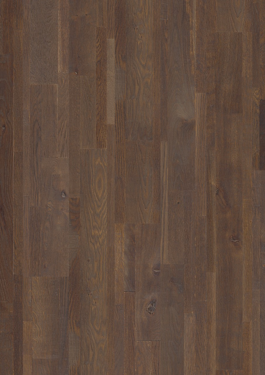 COFFEE OAK, VARIATION (W2011-01632)