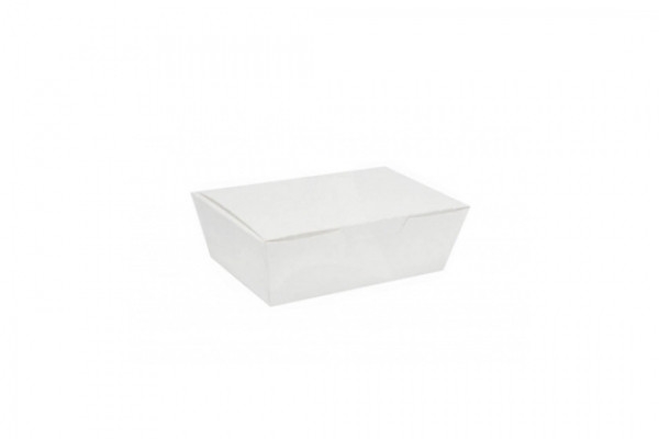 Paper Lunch Box (Plain)