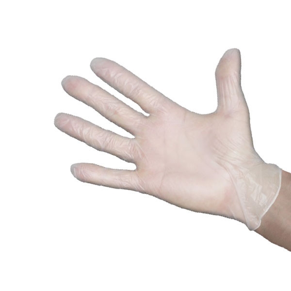 Vinyl Glove (Powder Free)