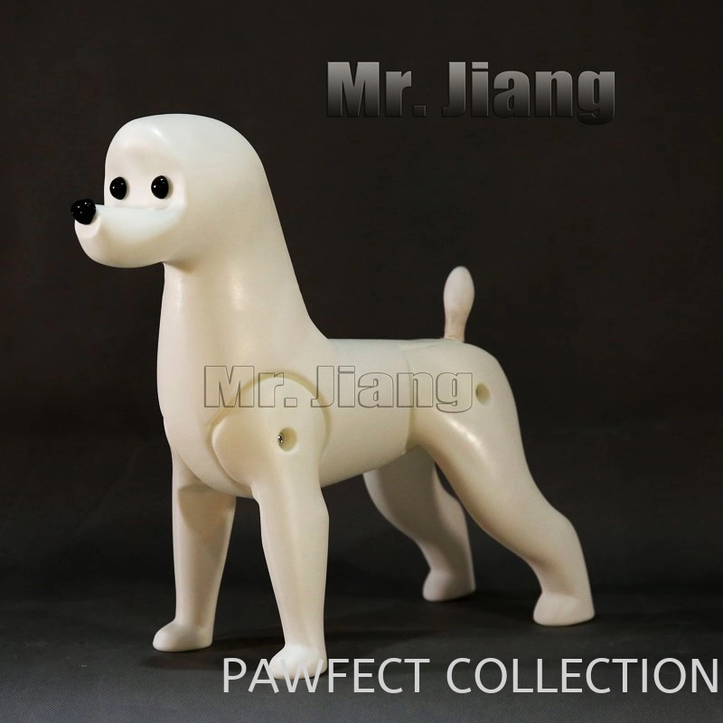 Mr. Jiang Bichon Frise Mannequin / Model Dog