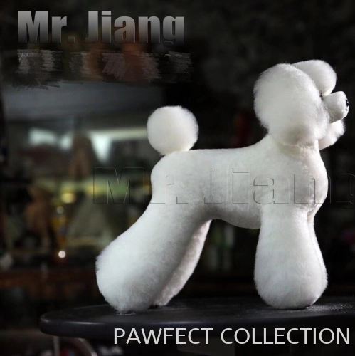 Mr. Jiang Teddy Model Dog Whole Body Wig (without mannequin)