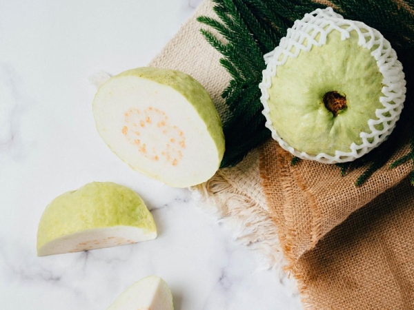 GUAVA LOHAN GUAVA FRUITS Malaysia, Penang Wholesaler, Supplier | CHIAP SHENG FRUITS SDN. BHD.
