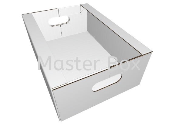  Box with Handle Malaysia, Selangor, Kuala Lumpur (KL), Balakong Manufacturer, Supplier, Supply, Supplies | Master Box Manufacturing Sdn Bhd