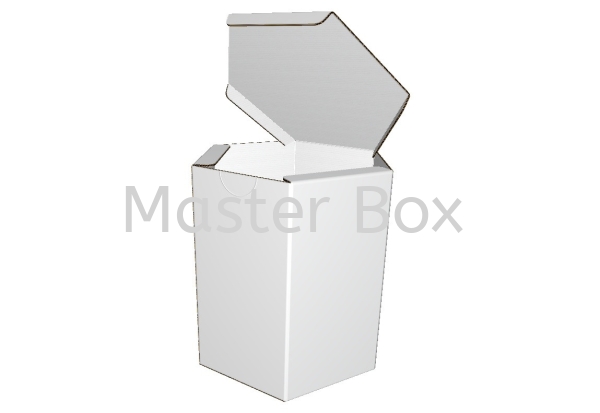  Normal Box Malaysia, Selangor, Kuala Lumpur (KL), Balakong Manufacturer, Supplier, Supply, Supplies | Master Box Manufacturing Sdn Bhd