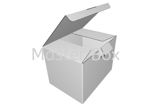  Normal Box Malaysia, Selangor, Kuala Lumpur (KL), Balakong Manufacturer, Supplier, Supply, Supplies | Master Box Manufacturing Sdn Bhd