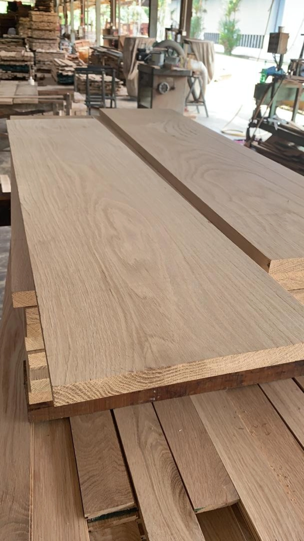 American White Oak