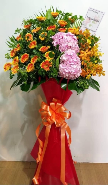 Hydrangea Daisy Congratulation CA229 floristkl Grand Opening Flower Arrangement Congratulations Arrangement Kuala Lumpur (KL), Selangor, Malaysia Supplier, Suppliers, Supply, Supplies | Shirley Florist