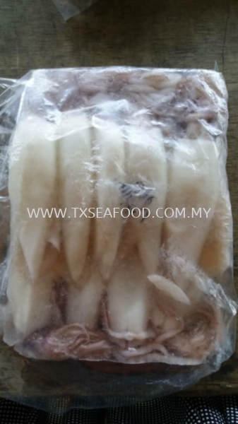 4/6 SOTONG A (CLEAN) FROZEN SOTONG Selangor, Klang, Malaysia, Kuala Lumpur (KL) Supplier, Suppliers, Supply, Supplies | TX SEAFOOD SDN. BHD.