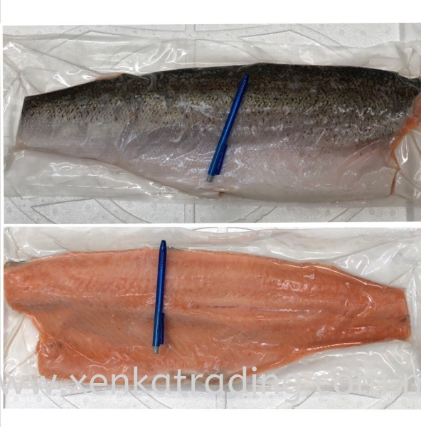 XK621 Frozen Salmon Fillet  (Chillean)  Fish Frozen Seafood Selangor, Malaysia, Kuala Lumpur (KL), Puchong Supplier, Suppliers, Supply, Supplies | Xenka Trading (M) Sdn Bhd