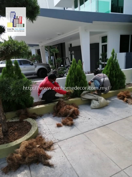 Garden & Plant Grass Carpet & Grass Selangor, Malaysia, Kuala Lumpur (KL), Puchong, Shah Alam Supplier, Suppliers, Supply, Supplies | Zen Home Decor