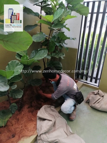 Garden & Plant Grass Carpet & Grass Selangor, Malaysia, Kuala Lumpur (KL), Puchong, Shah Alam Supplier, Suppliers, Supply, Supplies | Zen Home Decor