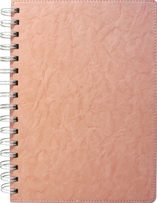 Journal Notebook [NB-023]