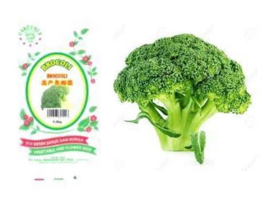 Brocoli Vegetable Seed Nursery Malaysia, Johor Wholesaler, Supplier, Supply, Supplies | Bio Clean Wholesale Sdn Bhd