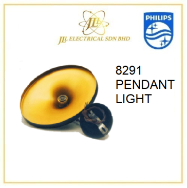 8291 PENDANT LIGHT
