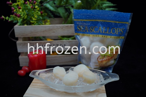  Scallop  Seafood  Selangor, Malaysia, Kuala Lumpur (KL), Batu Caves Supplier, Wholesaler, Distributor, Importer | HH Frozen Trading Sdn Bhd