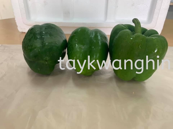 Capsicum Green ཷ Fresh Vegetable Johor Bahru (JB), Malaysia, Masai Supplier, Suppliers, Supply, Supplies | Tay Kwang Hin Trading Sdn Bhd