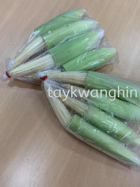 Young Corn С Fresh Vegetable Johor Bahru (JB), Malaysia, Masai Supplier, Suppliers, Supply, Supplies | Tay Kwang Hin Trading Sdn Bhd