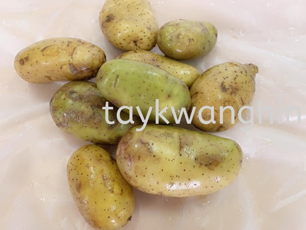 Potatoes  Fresh Vegetable   Supplier, Suppliers, Supply, Supplies | Tay Kwang Hin Trading Sdn Bhd