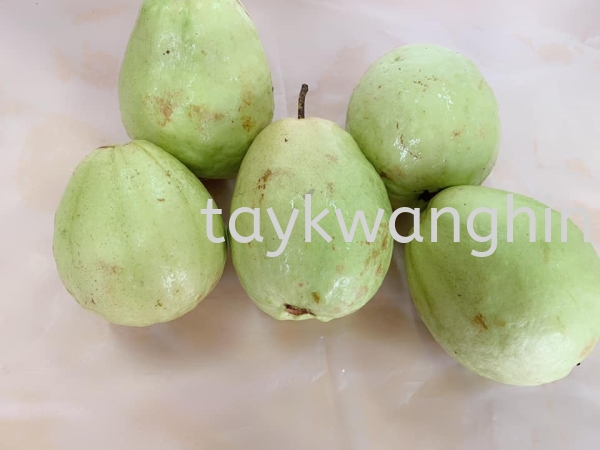 Jambu Batu ʯ Fresh Fruit Johor Bahru (JB), Malaysia, Masai Supplier, Suppliers, Supply, Supplies | Tay Kwang Hin Trading Sdn Bhd