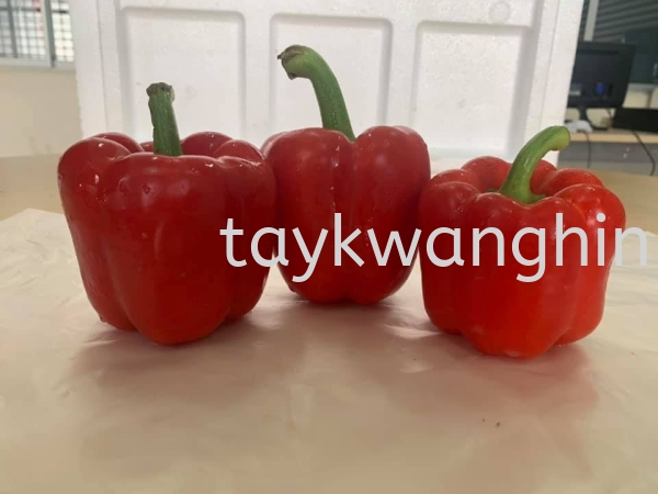 Capsicum Red 콷 Fresh Vegetable Johor Bahru (JB), Malaysia, Masai Supplier, Suppliers, Supply, Supplies | Tay Kwang Hin Trading Sdn Bhd