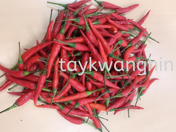 Chili Padi Red С콷 Fresh Vegetable Johor Bahru (JB), Malaysia, Masai Supplier, Suppliers, Supply, Supplies | Tay Kwang Hin Trading Sdn Bhd