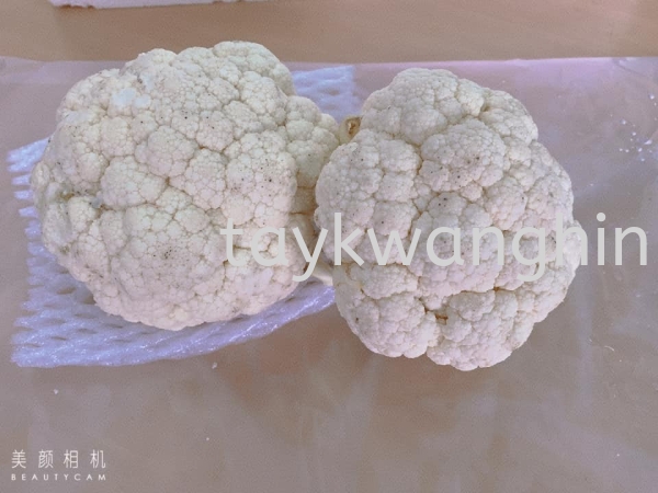 Cauliflower  Fresh Vegetable   Supplier, Suppliers, Supply, Supplies | Tay Kwang Hin Trading Sdn Bhd