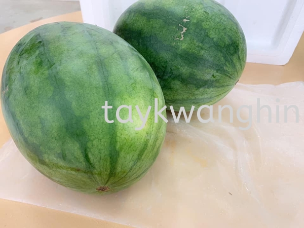 Watermelon  Fresh Fruit Johor Bahru (JB), Malaysia, Masai Supplier, Suppliers, Supply, Supplies | Tay Kwang Hin Trading Sdn Bhd