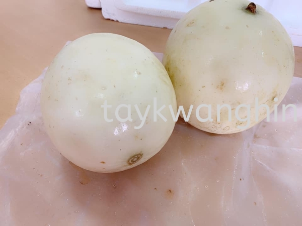 Honeydrew ۹ Fresh Fruit Johor Bahru (JB), Malaysia, Masai Supplier, Suppliers, Supply, Supplies | Tay Kwang Hin Trading Sdn Bhd