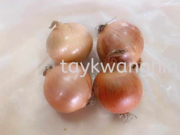 Yellow Big Onion ̫ Fresh Vegetable   Supplier, Suppliers, Supply, Supplies | Tay Kwang Hin Trading Sdn Bhd