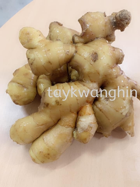 Ginger Old Ͻ Fresh Vegetable Johor Bahru (JB), Malaysia, Masai Supplier, Suppliers, Supply, Supplies | Tay Kwang Hin Trading Sdn Bhd