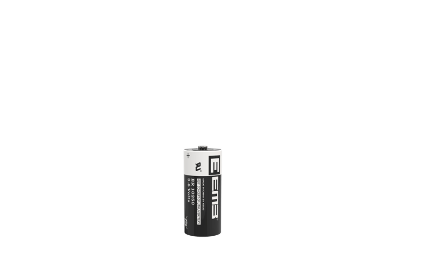 eemb er10250 li-socl2 battery energy type er10250 battery
