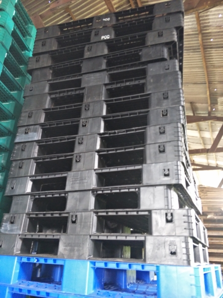 Recycled Plastic Pallet Used Plastic Pallet Used Pallet Selangor, Malaysia, Kuala Lumpur (KL), Klang Supplier, Suppliers, Supply, Supplies | Fuka Industries Sdn Bhd