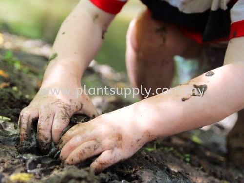 "Forest Floors" change Kids' Immune Systems