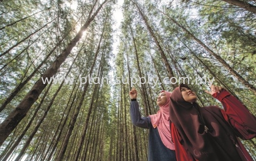 'Nami Island' Kelantan