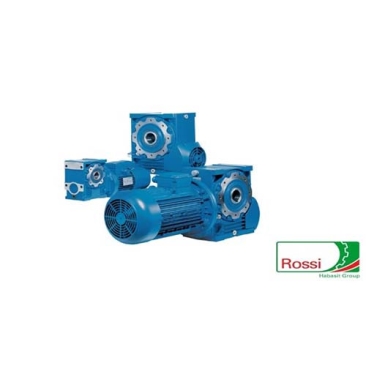 Hollow Shaft Mounted Worm Series