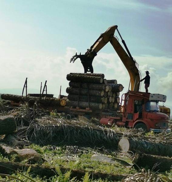 Hydraulic Excavator 200 With Grapple Hydraulic Excavator With Grapple Rental Johor Bahru (JB), Malaysia, Johor Service, Supplier, Supply, Supplies | Sunway Earthworks Engineering