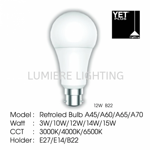 YET LIGHT BULB B22 12W