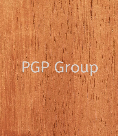 Mengkulang TIMBER SPECIES Malaysia, Terengganu Supplier, Exporter, Supply, Supplies | Kilang Papan PGP Sdn Bhd