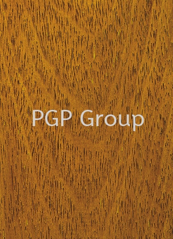 Merbau TIMBER SPECIES Malaysia, Terengganu Supplier, Exporter, Supply, Supplies | Kilang Papan PGP Sdn Bhd