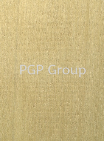 Mersawa TIMBER SPECIES Malaysia, Terengganu Supplier, Exporter, Supply, Supplies | Kilang Papan PGP Sdn Bhd