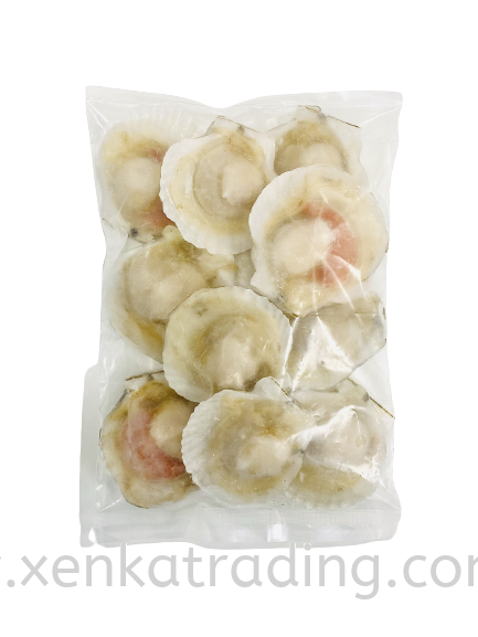 XK608 Half Shell Scallop 8-9cm (8-10PCS)  Others Frozen Seafood Selangor, Malaysia, Kuala Lumpur (KL), Puchong Supplier, Suppliers, Supply, Supplies | Xenka Trading (M) Sdn Bhd