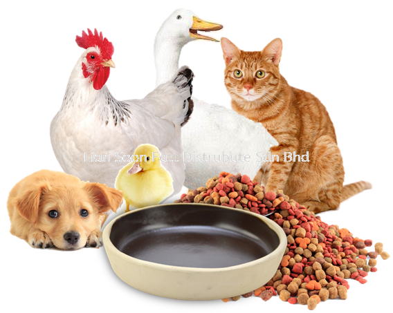 Animals Food Soil Plate - Hand Made ClayPot & CoalPot Hand Made   Perak, Malaysia, Ipoh Supplier, Wholesaler, Distributor, Supplies | LIAN SOON FATT DISTRIBUTE SDN BHD