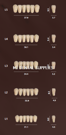 PIGEON ACRYLIC TEETH 2 LAYERS - LOWER ANTERIOR L SERIES Acrylic Teeth Lab Material Selangor, Malaysia, Kuala Lumpur (KL), Shah Alam Supplier, Distributor, Supply, Supplies | MJ Dental Supplies