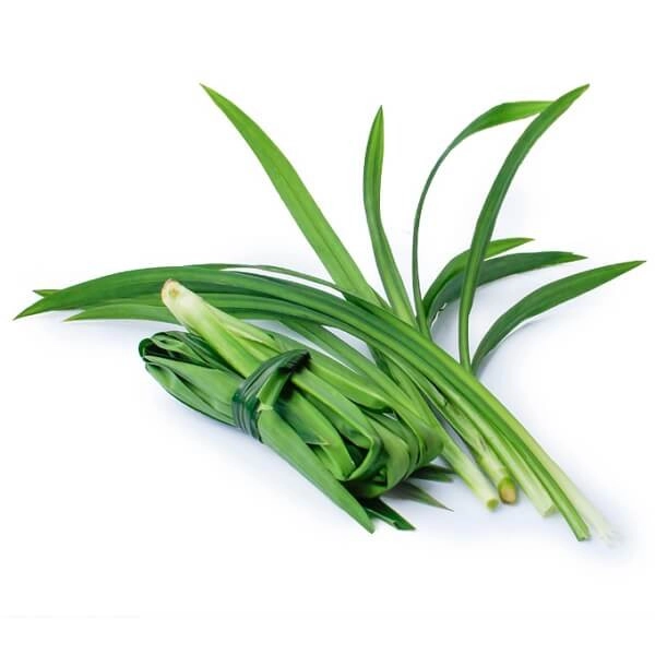 DAUN PANDAN 班兰叶 300g+-