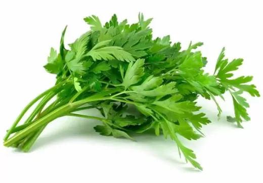 DAUN SUP  芹菜 200g+-